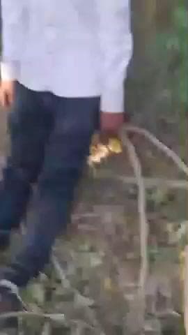 sansanikhed vardat jhadiyon Mili yuvak ki Lash Lash ki pahchan Hui sunna Bhai Jara mein bichma Thana