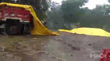 भैंसदेही: बारिश का कहर: किसानों के मंसूबों पर फिरा पानी, खेतों में कटी फसल अंकुरित, धामनगांव सहित क्षेत्र प्रभावित