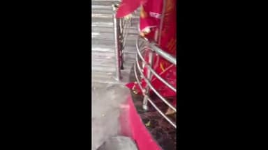 गंगापुर: गंगापुर सिटी के निकटतम गांव सेवा में भैराय मैया के मंदिर पर अन्नकूट प्रसादी का वितरण