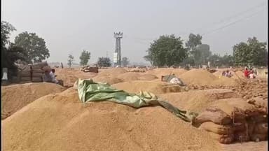 ਸਰਦੂਲਗੜ੍ਹ: ਮੰਡੀਆਂ ਦੇ ਵਿੱਚ ਲਿਫਟਿੰਗ ਦੀ ਸਮੱਸਿਆ ਕਿਸਾਨਾਂ ਨੂੰ ਫਸਲ ਉਤਾਰਨ ਦੇ ਲਈ ਨਹੀਂ ਮਿਲ ਰਹੀ ਜਗ੍ਹਾ