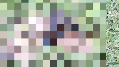 টেঙাখাত: দুলীয়াজানৰ সুভাষ পল্লিত অচিনাক্ত মৃতদেহ উদ্ধাৰক লৈ তীব্ৰ চাঞ্চল্য