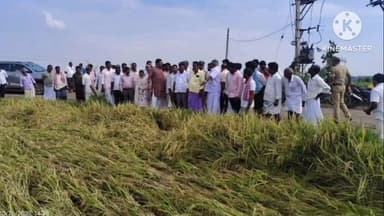 ಕನಕಗಿರಿ: ಉಳೇನೂರು ಗ್ರಾಮದಲ್ಲಿ ಮಳೆಗೆ ನಾಶವಾದ ಭತ್ತದ ಗದ್ದೆಗೆ ಜಿಲ್ಲಾ ಉಸ್ತುವಾರಿ ಸಚಿವ  ಶಿವರಾಜ ತಂಗಡಗಿ ಭೇಟಿ ಪರಿಶೀಲನೆ