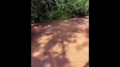 శ్రీరాంపూర్: అధ్వాన్నంగా మారిన మంగపేట - కాటాపూర్ రోడ్డు