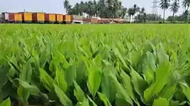 குமாரபாளையம்: கணபதிபாளையத்தில் மஞ்சள் விவசாயிகளை பாமக தலைவர் அன்புமணி ராமதாஸ் சந்தித்து குறைகளை கேட்டு அறிந்தார்