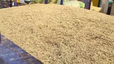 जालौन: जालौन नवीन गल्ला मंडी में धान बेचने के लिए किसानों की सुबह से लगती है लाइन, किसानों को हुआ मुनाफा