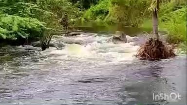 சோளிங்கர்: சோளிங்கர் அருகே பாராஞ்சி நந்தி ஆற்றில் அடையாளம் தெரியாத ஆண் சடலம் மீட்பு போலீஸார் விசாரணை