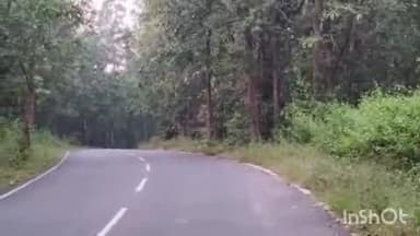 ଚାରମାଳ: ବଡ଼ମାଳ ବନାଞ୍ଚଳରେ ନିଦ ହଜାଉଛନ୍ତି ଆଠ ଟିକିଆ ହାତୀ ପଲ , ଗତିବିଧି ଉପରେ ନଜର ରଖୁଛି ଡ୍ରୋନ