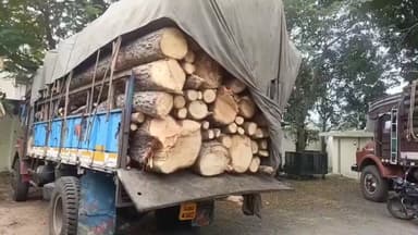 શહેરા: શહેરા વનવિભાગે હાસાપુર ગામેથી પાસ પરમીટ વગર લાકડા ભરેલ ટ્રકને ઝડપી પાડી રૂપિયા ૪ લાખ ૨૫ હજારનો મુદ્દામાલ કબ્જે લીધો હતો