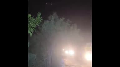 கூடலூர்: ஓவேலியில் மயக்க ஊசி செலுத்தி பிடிக்கப்பட்ட ராதாகிருஷ்ணன் யானை கோதையாறு வனப்பகுதியில் விடுவிப்பு