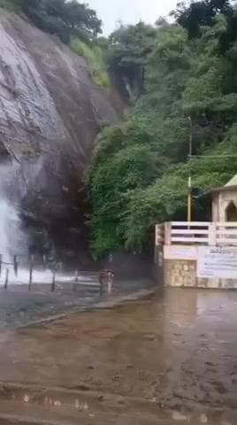 தென்காசி: பழைய குற்றாலம் அருவி 11 வது நாளாக குளிப்பதற்கு தடை நீடிப்பு