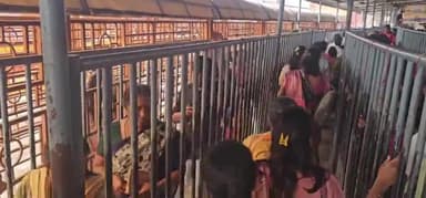 திருத்தணி: சுப்பிரமணியசாமி திருக்கோயில் கந்த சஷ்டி  இலட்சார்ச்சனை திருவிழா நடைபெற்றது.