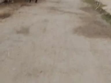 ग्राम सिकंदरपुर रोड नहीं बना है @@#