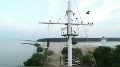 கடலூர்: முதுநகர் துறைமுகம் அலுவலகத்தில் இரண்டாம் எண் புயல் எச்சரிக்கை கூண்டு ஏற்றம்