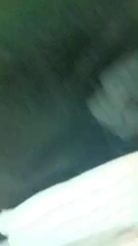 dhaurka se Ratangarh jaane wali Bari ya han Sa tiktar palat Gaya hai up mp bodar pe aa hansa huaa nadi ki Nadi ke derel