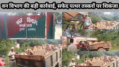 टुंडी : वन विभाग की बड़ी कार्रवाई, सफेद पत्थर लदा ट्रैक्टर एवं चालक गिरफ्तार, भेजा गया जेल #forest