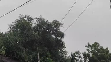 હાંસોટ: હાસોટ પંથકમાં 1 ઇંચ વરસાદ વરસતા ખેડૂતોને નુકસાનીની ભીતિ સેવાય રહી છે