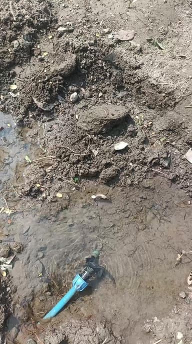 मलाढ पंचायत के वार्ड नंबर 10 में शुक्रवार से पानी निकलने लगा अभी तक कोई देखने वाला है।