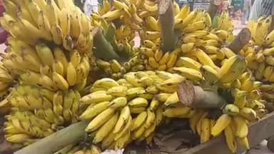 देसरी: देसरी में छठ महापर्व को लेकर बाज़ार में सब्जी और फलों के दाम में भारी उछाल, खरीदारी के लिए उमड़ी लोगों की भीड़