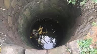 बुढ़ार: बुढार थाना क्षेत्र के धनपुरा गांव में कुएं में गिरने से युवक की मौत, पुलिस कर रही है जांच