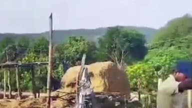 వెంకటాపుర్: గుంటూరు పల్లి లో నాగుపాము హల్చల్