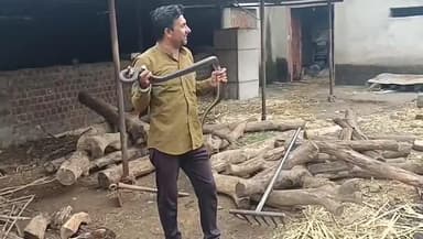 ठीकरी: बांदरकच्छ: पूर्व सांसद के घर में छिपे सांप को स्नैक फ्रैंड ने रेस्क्यू कर जंगल में छोड़ा
