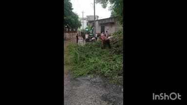 બાલાસિનોર: નાલંદા સોસાયટી પાસે માર્ગ ઉપર વૃક્ષની ડાળી તૂટતા વીજપોલ ધરાશાય થયો કામગીરી હાથ ધરાઈ