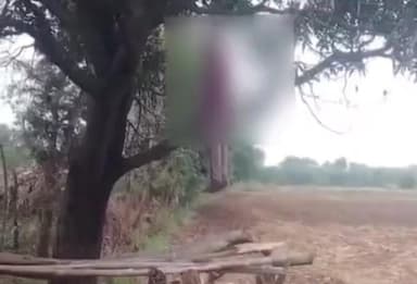 तालबेहट: गदयाना गांव में पेड़ पर रस्सी के सहारे संदिग्ध परिस्थितियों में लटका मिला 23 वर्षीय युवक का शव, इलाके में मचा हड़कंप
