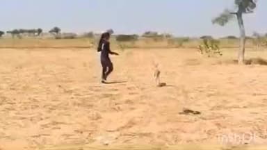 पोकरण: सनावड़ा गांव की पूजा ने हिरण के बच्चे के लिए छोड़ी पढ़ाई, 4 महीने तक पालन-पोषण किया, वन विभाग की टीम आई तो छलक उठे आंसू