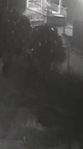 बानसूर: बानसूर के सबलपुरा में दो मंदिरों से कलश चोरी, सीसीटीवी फुटेज में कैद हुई घटना