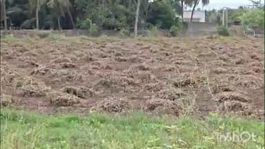 કેશોદ: તાલુકામાં ખેડૂતોને થયેલ નુકસાનીને લઈને વહેલી તકે સરકાર સહાય કરે તેવી કિસાન કોંગ્રેસ સમિતિ ના ચેરમેન દ્વાર કરાઈ માંગ