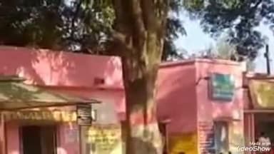 लालगंज: हथेड़ा गांव में बाइक से गिरकर महिला गंभीर रूप से घायल, प्राथमिक उपचार के बाद ट्रामा सेंटर मिर्जापुर भेजी गई