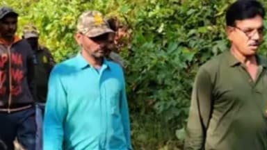 नागभिर: नरभक्षक वाघाचा शोधासाठी वनविभाग ॲक्शन मोडवर आक्कापुर शेतशिवारात आठ कॅमेरे 10 कर्मचारी तैनात