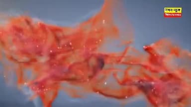 अस्ताचलगामी सूर्य को अर्घ्य देने के साथ छठ का तीसरा दिन संपन्न..
#chhatpuja2025 #patna #patelnagarpatna