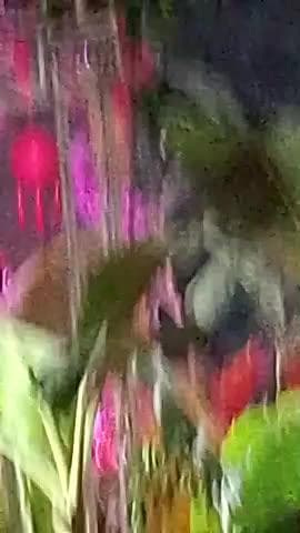 jarang paschimi ward number 1