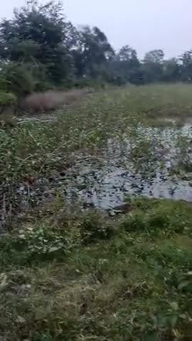 मौज राम सिंह रायजोत में एक पोखर में पहली बार छठ पूजा मनाया गया और इसी मौजा के प्रधान ने इसी पोखरा को खेत बनाकरजोतबाद कर