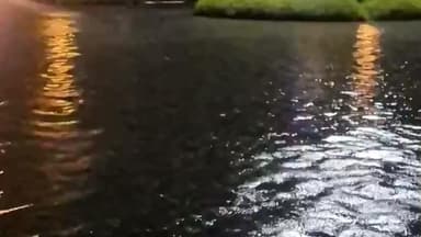 બારડોલી: છેલ્લા 24 કલાકમાં 17 mm થી લઈને 106 mm સુધીનો કમોસમી વરસાદ, ખેતરોમાં પાણી ભરાતા પાકોને નુકશાન સુગર ફેક્ટરીઓ વિલંબમાં