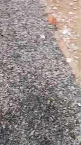 विकास खंड जखौरा क्षेत्र के ग्राम पंचायत पिपरा में हो रहा घटिया सामग्री का उपयोग हाथ से उखड़ रहा डामर रोड