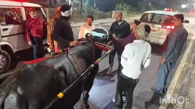 गढ़मुक्तेश्वर: नेशनल हाईवे 9 पर गांव अठसैनी के पास भैंसा दौड़ रहे 12 व्यक्तियों को डीएम और स्थानीय पुलिस ने पकड़ा
