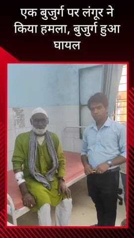 सरधना: लंगूर को पकड़ने के प्रयास में लंगूर ने एक बुजुर्ग पर किया हमला, घायल बुजुर्ग को सरकारी अस्पताल में भर्ती कराया गया