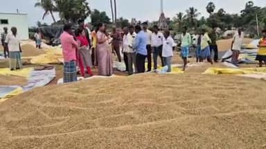 குறிஞ்சிப்பாடி: விவசாயிகளுக்கு அடிப்படை வசதிகளை செய்து தர வேண்டும் குண்டியமல்லூரில் மத்திய குழுவினர் அறிவுறுத்தல்