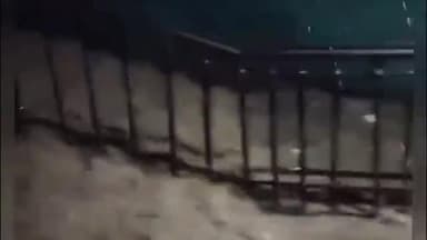 હાલોલ: પાવાગઢ ના પગથીયા પરથી ખળખળ વેહતું થયું પાણી,માતાજીના ભક્તોએ મન મૂકીને પ્રાકૃતિક સૌંદર્યને માણ્યું