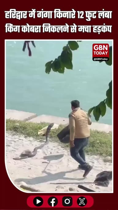 हरिद्वार के चंडी घाट पर गंगा किनारे 12 फुट लंबा किंग कोबरा निकलने से मचा हड़कंप!
#Haridwar #ChandiGhat #KingCobra #Snake
