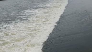 திருக்கழுக்குன்றம்: தொடர்ந்து 7வது ஆண்டாக நிரம்பி வழியும் வாயலூர் பாலாறு தடுப்பணை ஆர்வமுடன் கண்டு களித்து செல்லும் பொதுமக்கள்