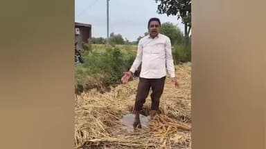 ગોધરા: કાકણપુર ખાતે માવઠાથી પાક નુકસાન,ખેડૂતોના આક્ષેપ મુજબ સર્વે કરવા આવેલા અધિકારીઓએ કહ્યું આ નુકસાન ન કહેવાય!"