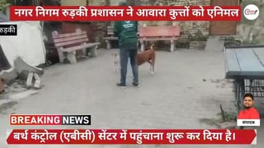 नगर निगम रुड़की प्रशासन ने आवारा कुत्तों को एनिमल बर्थ कंट्रोल (एबीसी) सेंटर में पहुंचाना शुरू कर दिया है। महापौर अनीता