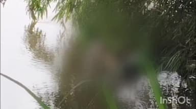 കോതമംഗലം: ഭൂതത്താൻകെട്ട് ഡാമിൽ നിന്നും താഴേക്ക് ചാടിയ വടാട്ടുപാറ സ്വദേശിയുടെ മൃതദേഹം കണ്ടെത്തി