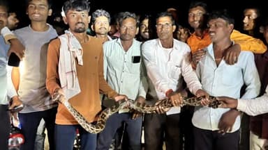 पुर्णा: तालुक्यातील मौजे मरसुळ येथे दहा फुट लांबीचा महाकाय अजगर अढळला