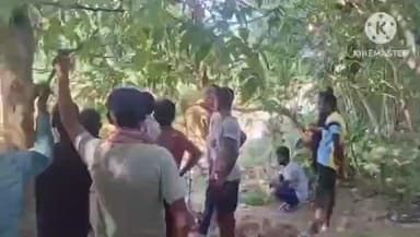 মৰিয়নি: নাগাজংকা উদয়পুৰৰ ভোগদৈ নদীত উপঙি থকা অৱস্থাত অচিনাক্ত মৃতদেহ উদ্ধাৰ