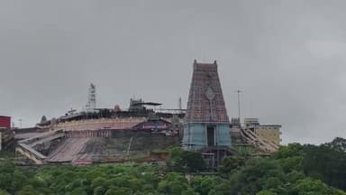 திருத்தணி: முருகன் கோயிலில்  திருக்கல்யாணம் விழா திரளான பக்தர்கள் பங்கேற்று சாமி தரிசனம் செய்தனர்