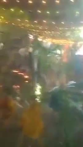 कोरांव: कोरांव में छठ पर्व संपन्न, व्रतियों ने उगते सूर्य को अर्घ्य देकर की पूजा-अर्चना